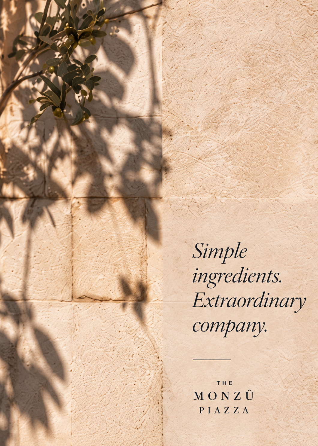Olive branch shadows on a heritage stone wall at Monzù Piazza